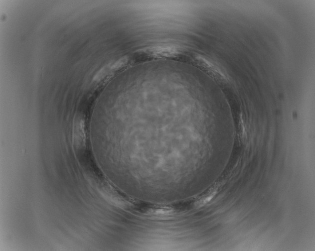 X0000062620506200512211206