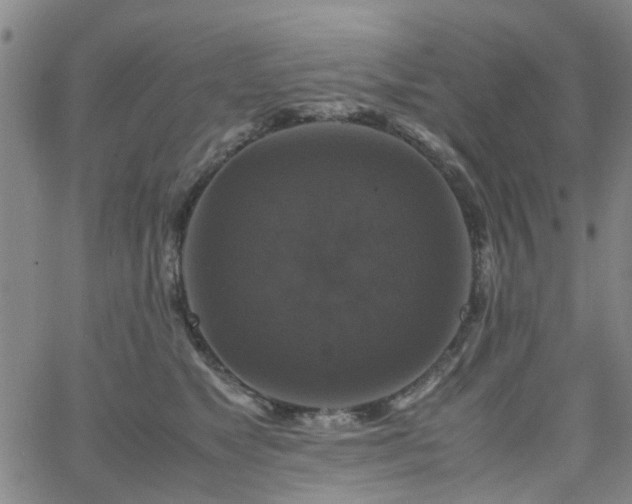 X0000062620517200512211206