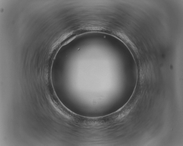 X0000062620533200512211205