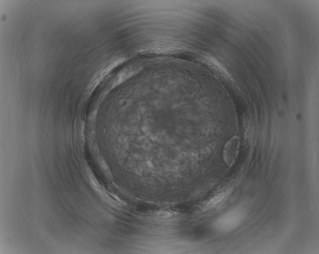X0000062620542200512211205