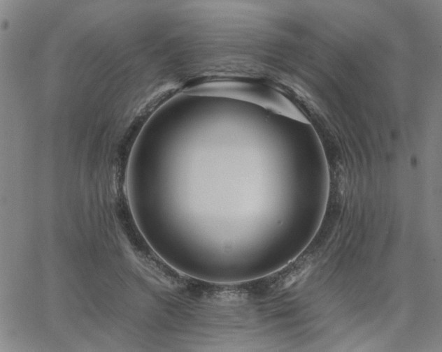 X0000062620546200512211205