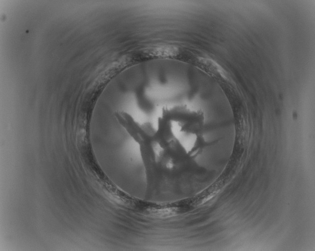 X0000062620553200512211206