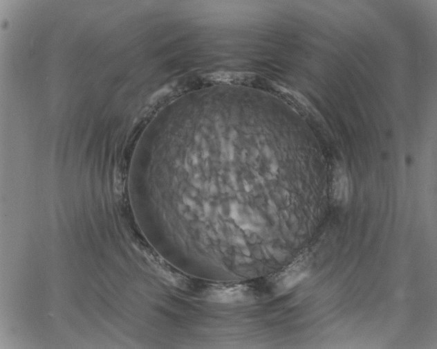 X0000062620569200512211206