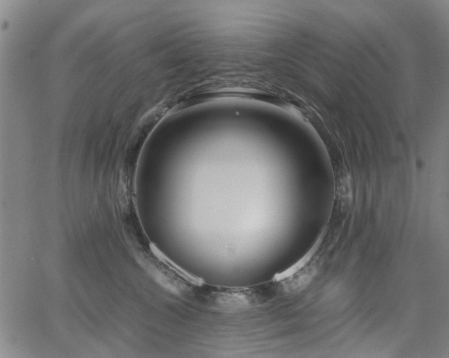 X0000062620572200512211206