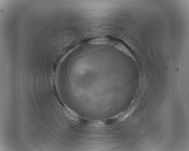 X0000062620576200512211206