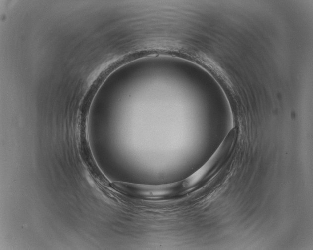 X0000062620580200512211205