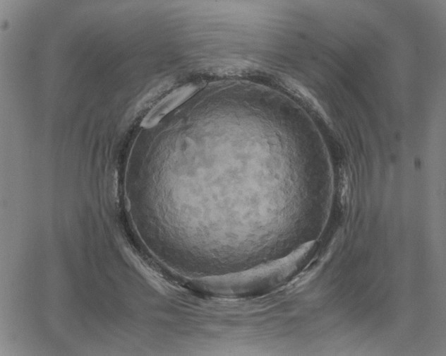 X0000062620589200512211205