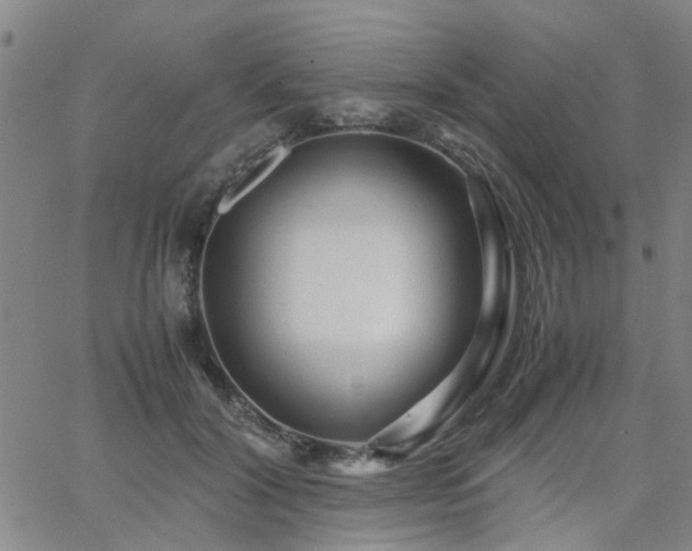 X0000062620604200512211205