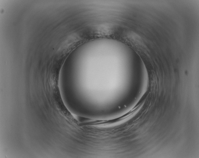 X0000062620608200512211205