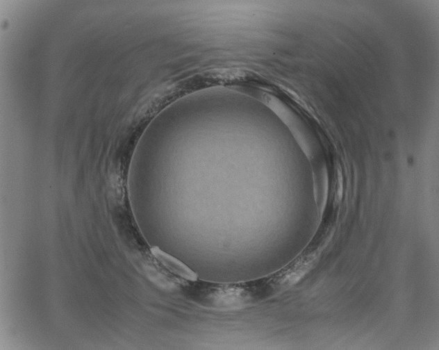 X0000062620609200512211205