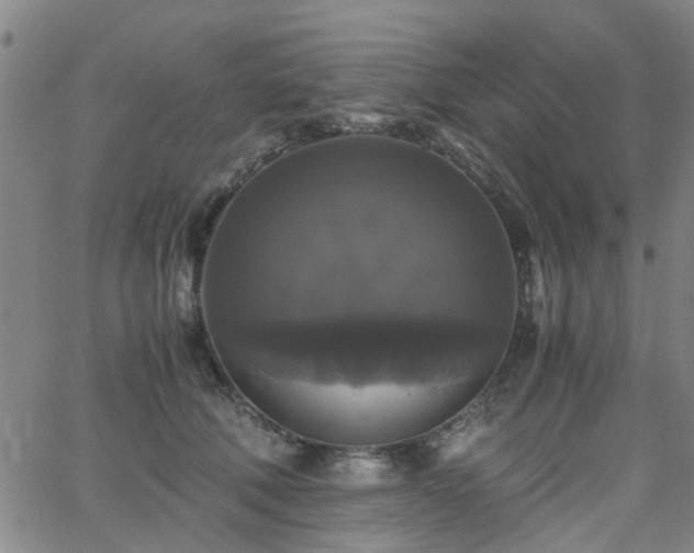X0000062620610200512211205
