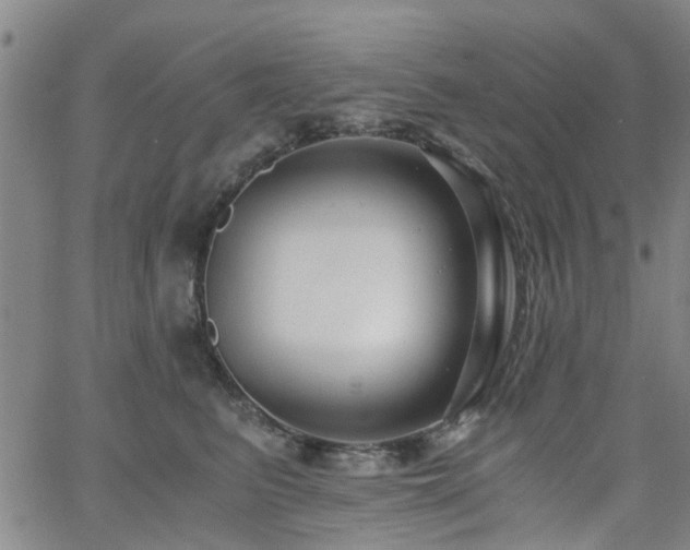 X0000062620615200512211204