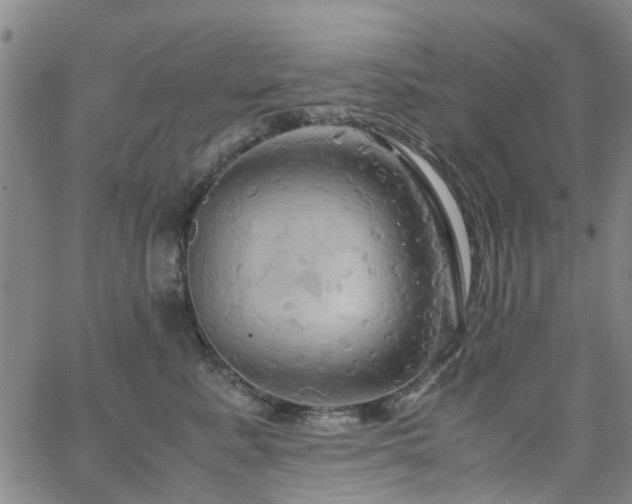 X0000062620619200512211204