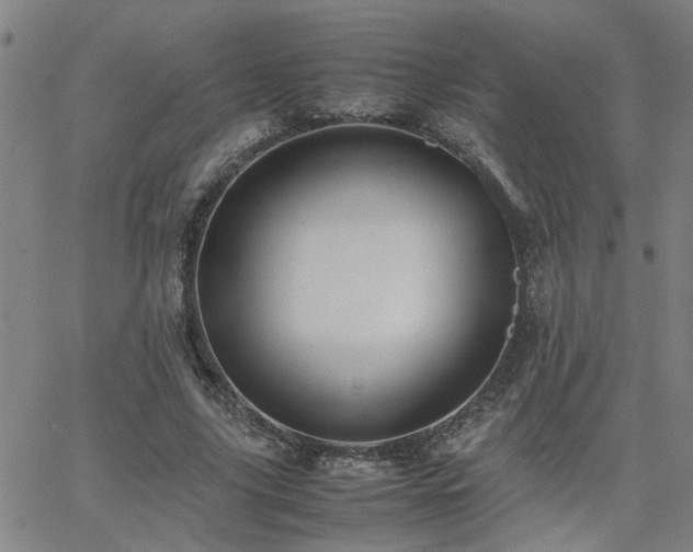 X0000062620635200512211204