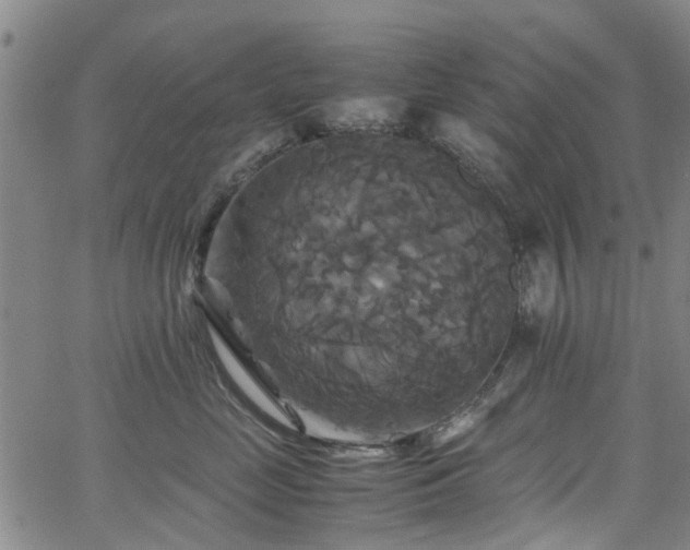X0000062620669200512211204