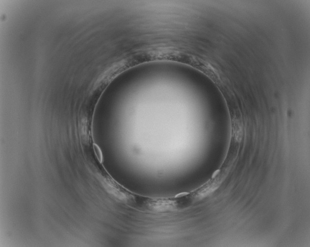 X0000062620670200512211204