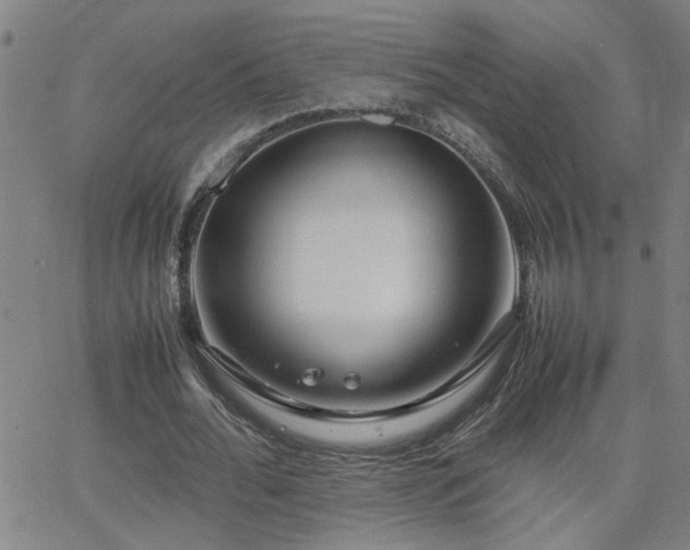 X0000062620676200512211203