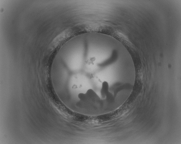 X0000062620687200512211203