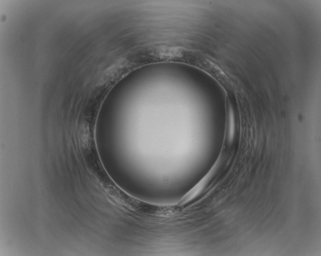 X0000062620704200512211203