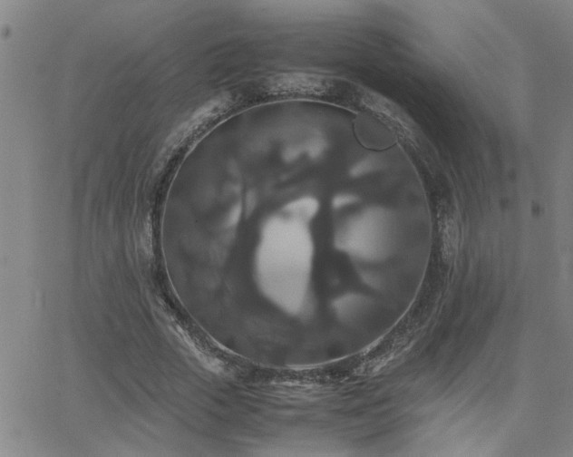 X0000062620729200512211202