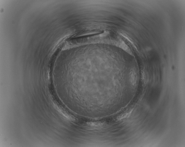 X0000062620733200512211202
