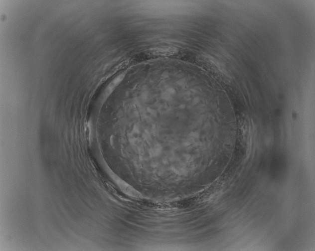 X0000062620745200512211202