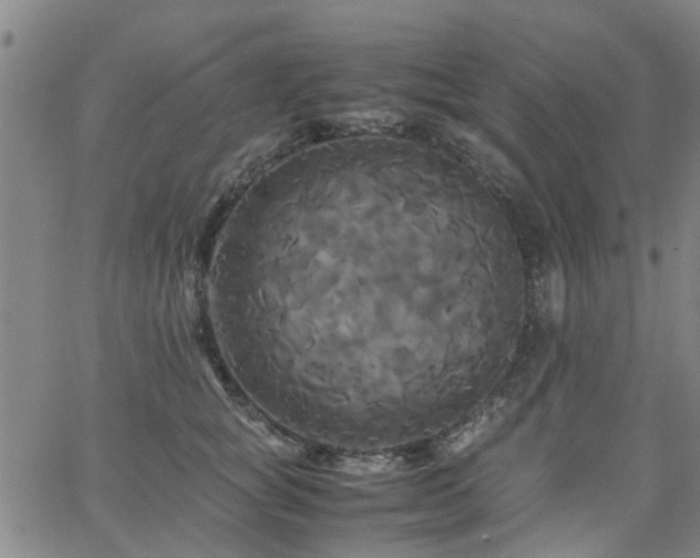 X0000062620757200512211203