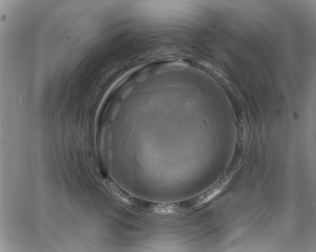 X0000062620762200512211203