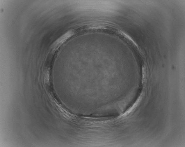 X0000062620777200512211202