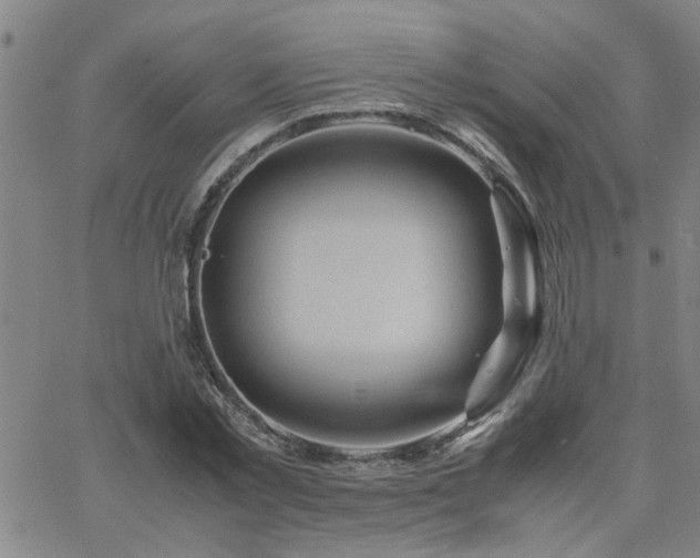 X0000062620781200512211202