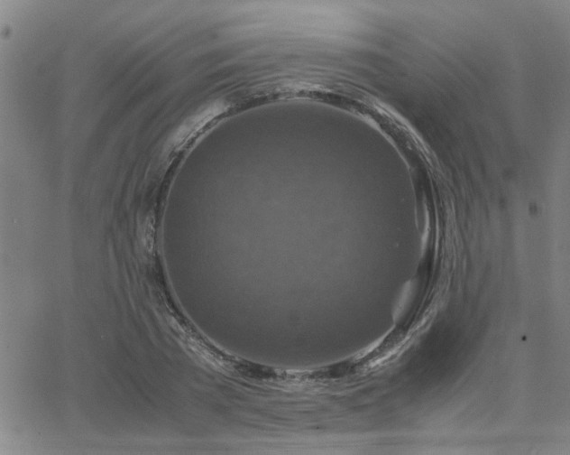 X0000062620785200512211202