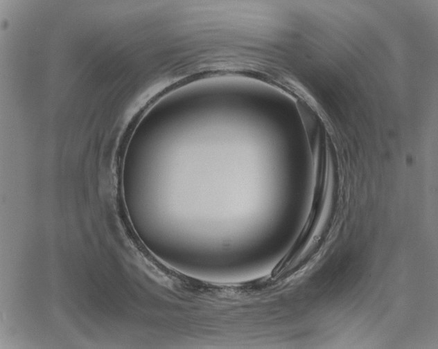 X0000062620787200512211202