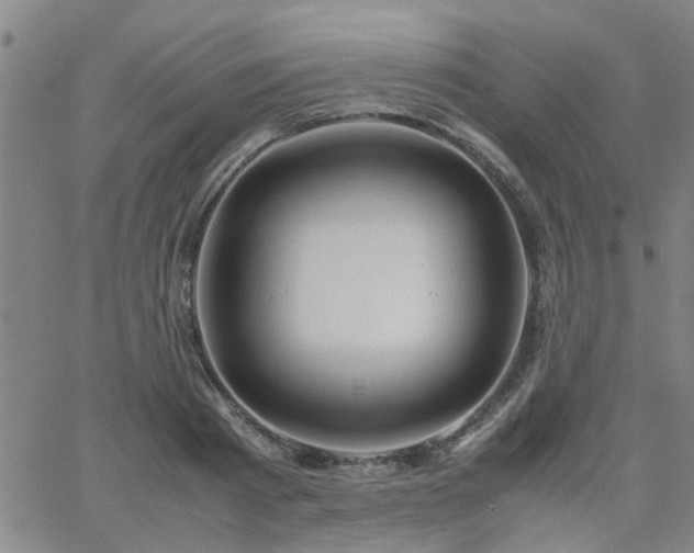 X0000062620793200512211201