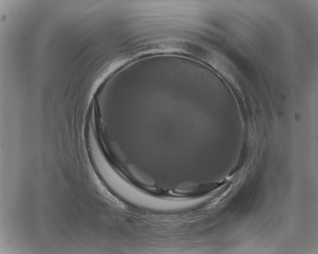X0000062620797200512211201