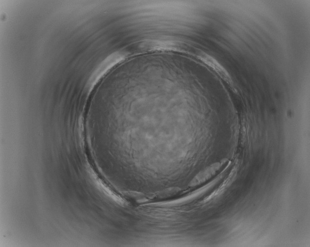 X0000062620798200512211201