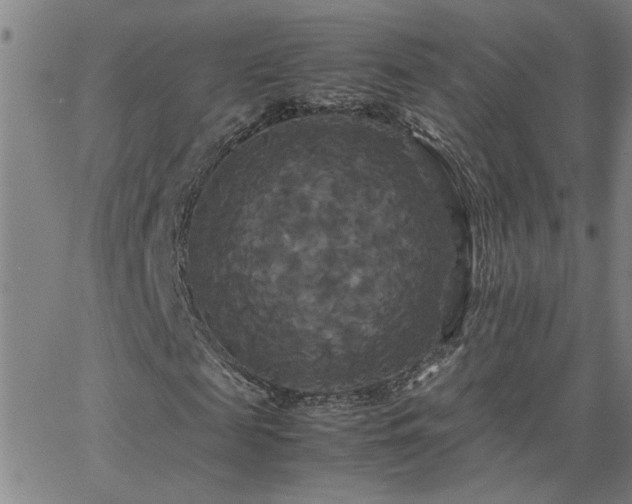 X0000062620817200512211200