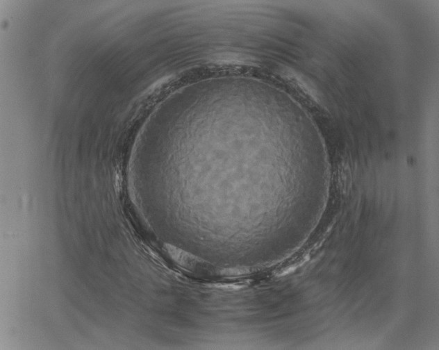 X0000062620821200512211200