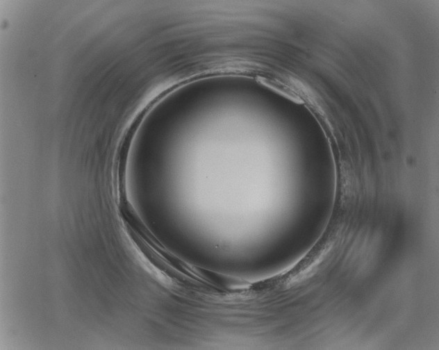 X0000062620843200512211201