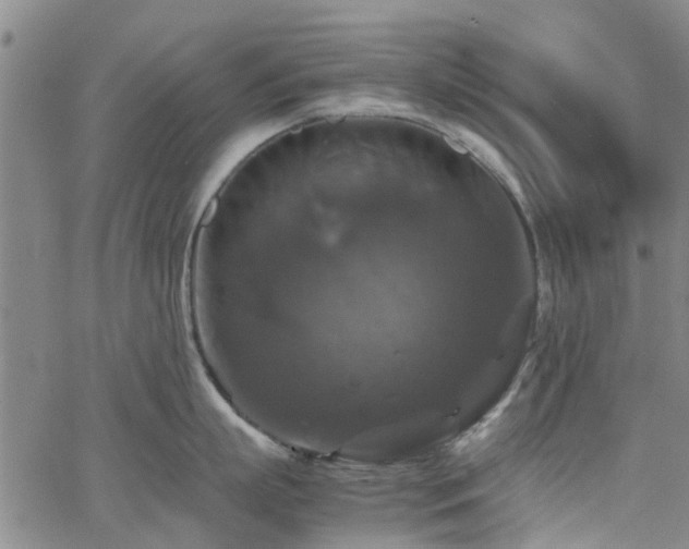 X0000062620863200512211201