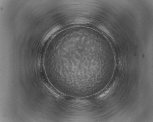 X0000062620874200512211200