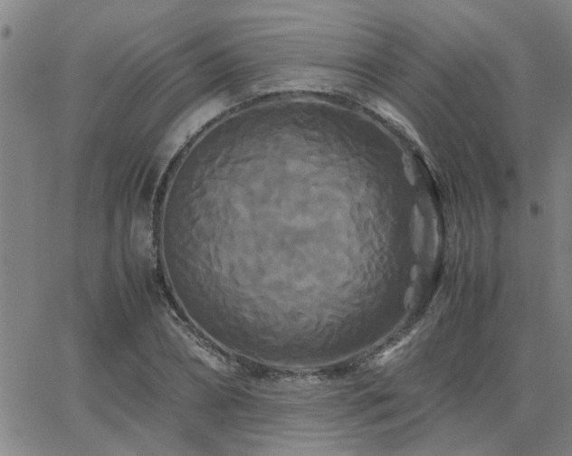 X0000062620882200512211200