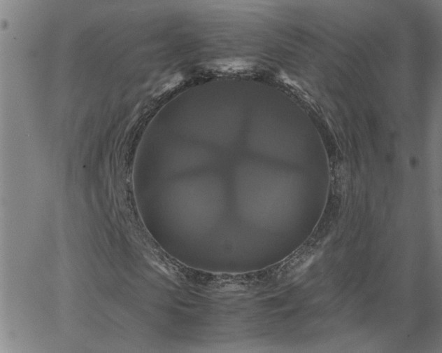 X0000062620913200512211159