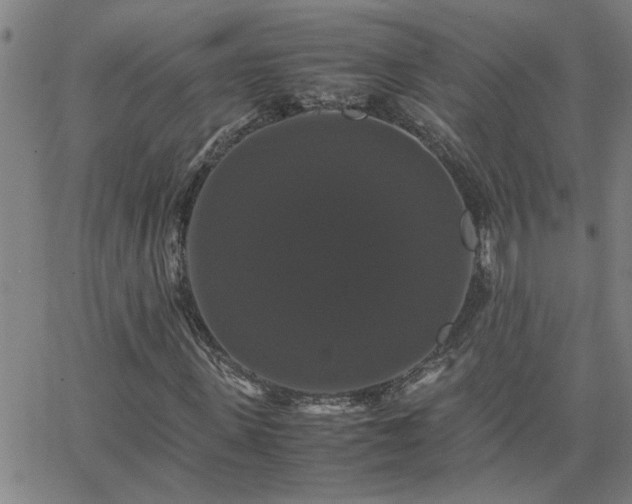 X0000062620915200512211159