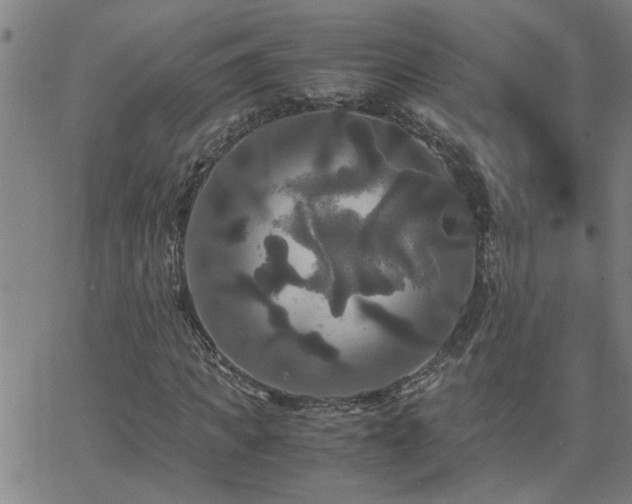 X0000062620917200512211159