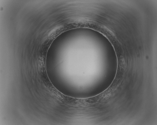 X0000062620918200512211159