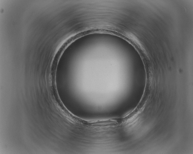 X0000062620924200512211159