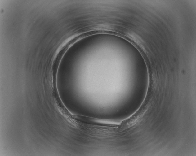 X0000062620931200512211159