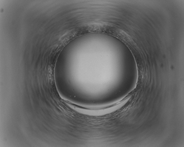 X0000062620964200512211159