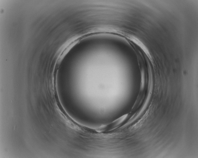 X0000062620996200512211158