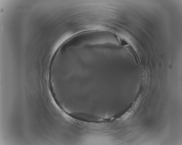 X0000062621007200512211158